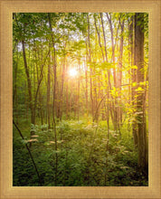 Load image into Gallery viewer, Sweet Hour of Prayer