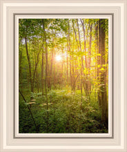 Load image into Gallery viewer, Sweet Hour of Prayer