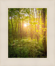 Load image into Gallery viewer, Sweet Hour of Prayer