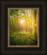 Load image into Gallery viewer, Sweet Hour of Prayer