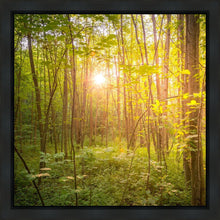 Load image into Gallery viewer, Sweet Hour of Prayer