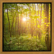 Load image into Gallery viewer, Sweet Hour of Prayer