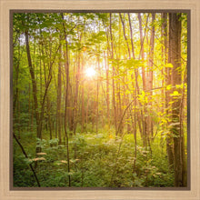Load image into Gallery viewer, Sweet Hour of Prayer