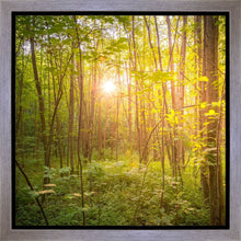 Load image into Gallery viewer, Sweet Hour of Prayer