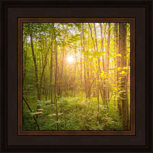 Load image into Gallery viewer, Sweet Hour of Prayer