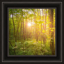 Load image into Gallery viewer, Sweet Hour of Prayer