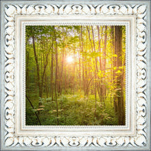 Load image into Gallery viewer, Sweet Hour of Prayer