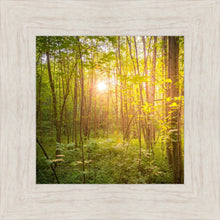 Load image into Gallery viewer, Sweet Hour of Prayer