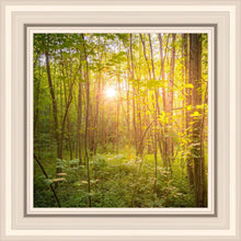 Load image into Gallery viewer, Sweet Hour of Prayer