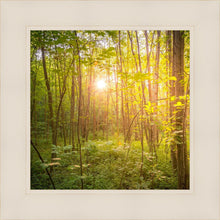 Load image into Gallery viewer, Sweet Hour of Prayer