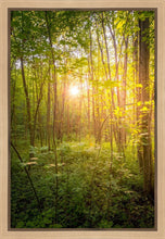 Load image into Gallery viewer, Sweet Hour of Prayer