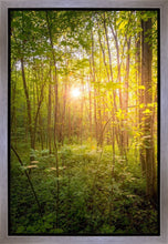 Load image into Gallery viewer, Sweet Hour of Prayer