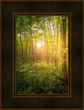 Load image into Gallery viewer, Sweet Hour of Prayer