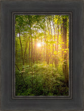 Load image into Gallery viewer, Sweet Hour of Prayer