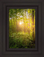 Load image into Gallery viewer, Sweet Hour of Prayer