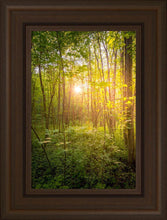 Load image into Gallery viewer, Sweet Hour of Prayer