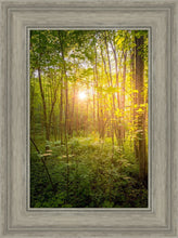 Load image into Gallery viewer, Sweet Hour of Prayer