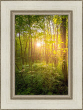 Load image into Gallery viewer, Sweet Hour of Prayer