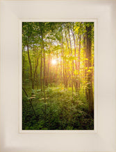 Load image into Gallery viewer, Sweet Hour of Prayer