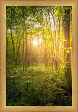 Load image into Gallery viewer, Sweet Hour of Prayer