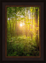 Load image into Gallery viewer, Sweet Hour of Prayer