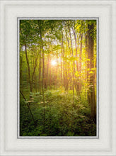 Load image into Gallery viewer, Sweet Hour of Prayer