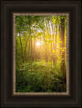 Load image into Gallery viewer, Sweet Hour of Prayer