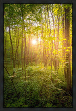 Load image into Gallery viewer, Sweet Hour of Prayer