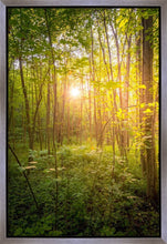 Load image into Gallery viewer, Sweet Hour of Prayer