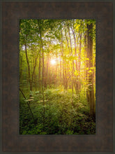 Load image into Gallery viewer, Sweet Hour of Prayer