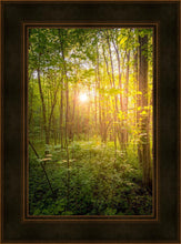 Load image into Gallery viewer, Sweet Hour of Prayer