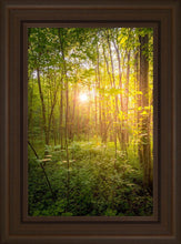 Load image into Gallery viewer, Sweet Hour of Prayer