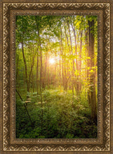 Load image into Gallery viewer, Sweet Hour of Prayer
