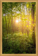 Load image into Gallery viewer, Sweet Hour of Prayer