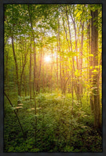 Load image into Gallery viewer, Sweet Hour of Prayer