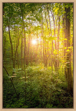 Load image into Gallery viewer, Sweet Hour of Prayer