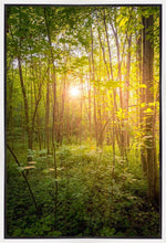 Load image into Gallery viewer, Sweet Hour of Prayer