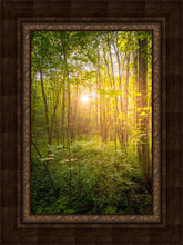 Load image into Gallery viewer, Sweet Hour of Prayer