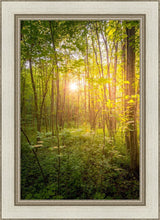 Load image into Gallery viewer, Sweet Hour of Prayer