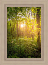 Load image into Gallery viewer, Sweet Hour of Prayer