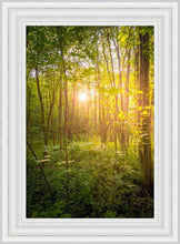 Load image into Gallery viewer, Sweet Hour of Prayer