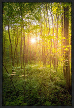 Load image into Gallery viewer, Sweet Hour of Prayer