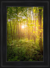 Load image into Gallery viewer, Sweet Hour of Prayer