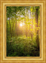 Load image into Gallery viewer, Sweet Hour of Prayer