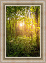 Load image into Gallery viewer, Sweet Hour of Prayer