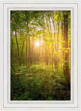 Load image into Gallery viewer, Sweet Hour of Prayer