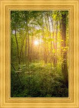 Load image into Gallery viewer, Sweet Hour of Prayer