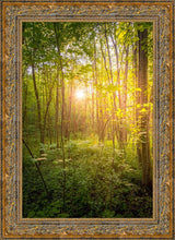 Load image into Gallery viewer, Sweet Hour of Prayer
