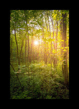 Load image into Gallery viewer, Sweet Hour of Prayer