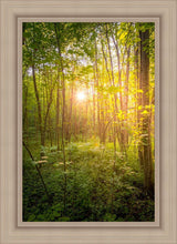 Load image into Gallery viewer, Sweet Hour of Prayer